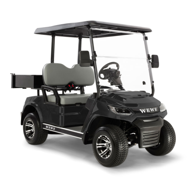 2 seat HD FXA golf cart - Image 4