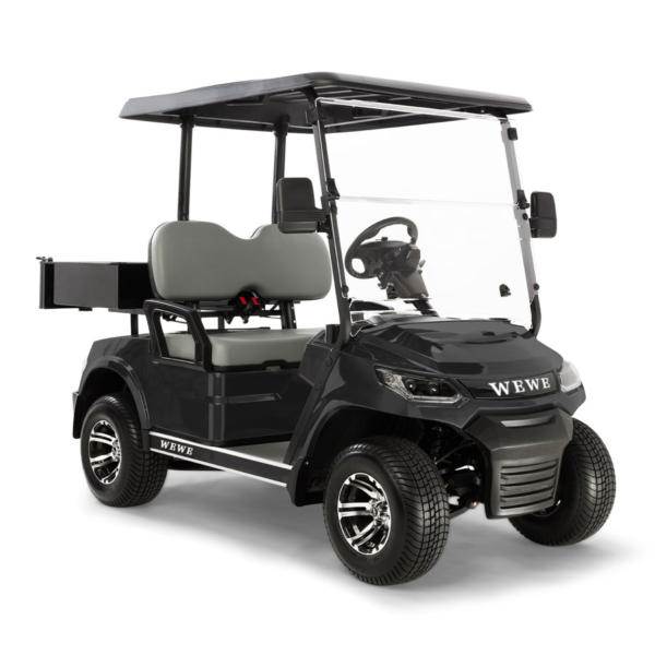 2 seat HD CX golf cart