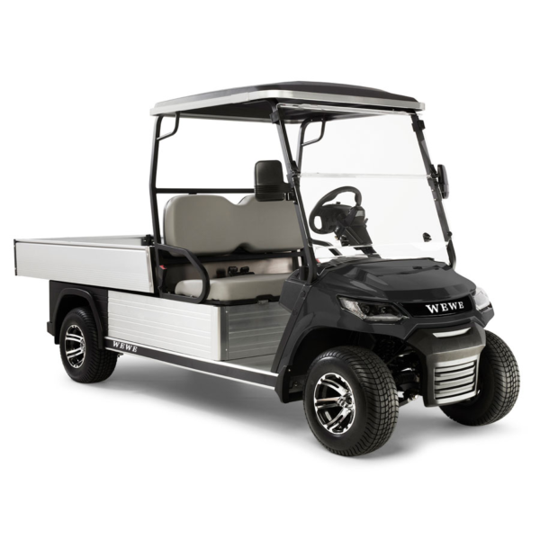 2 seat HD FXA click golf cart