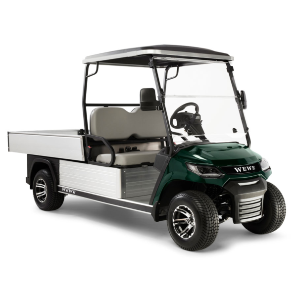 2 seat HD FXA click golf cart - Image 2