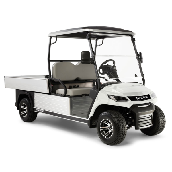 2 seat HD FXA click golf cart - Image 4