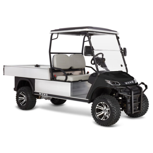 2 seat HD LX click golf cart - Image 2
