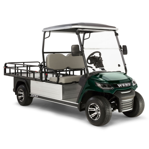 2 seat HD FXR click  golf cart - Image 4