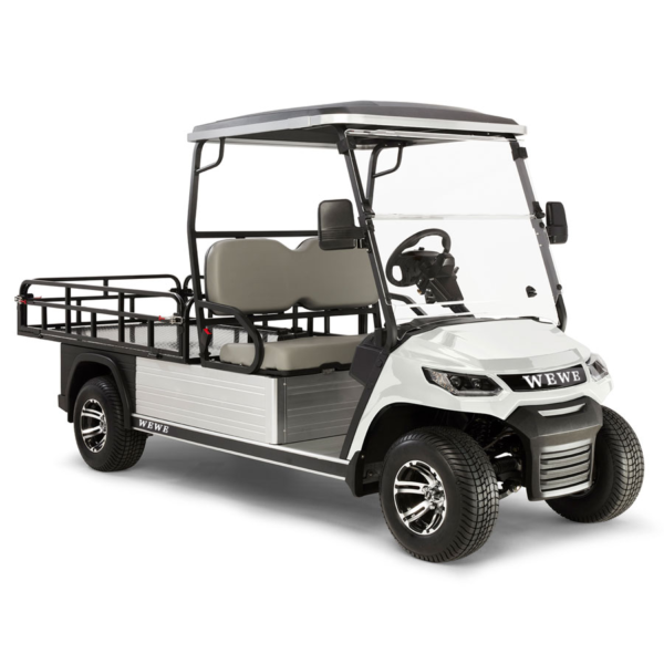 2 seat HD FXR golf cart - Image 2