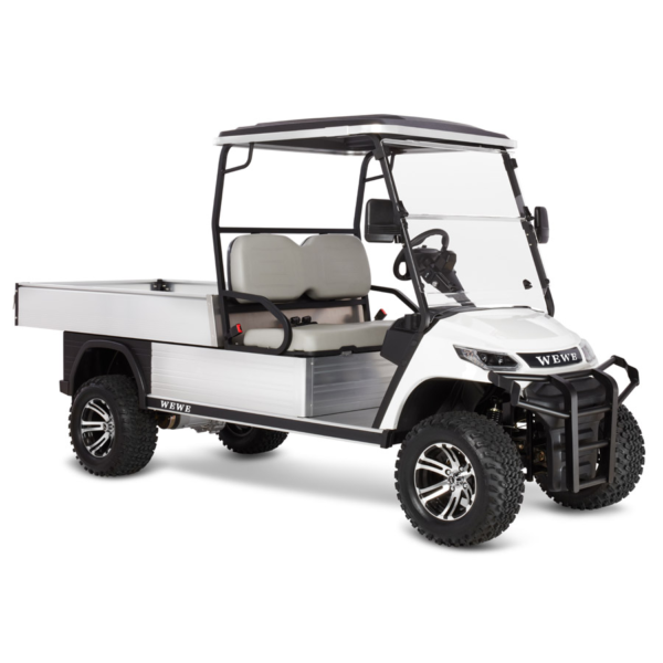 2 seat HD FXR click  golf cart - Image 2