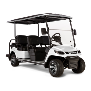 4+2 seat golf cart